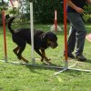 agility 2011-07-24